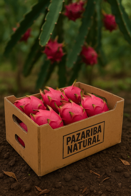 Kırmızı Ejder Meyvesi