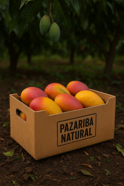 Alanya mango fiyatı